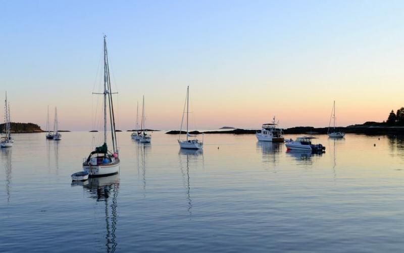 Sailboats moored in a harbor