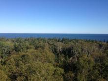 A view of Jewell Island from the top of a World War II tower