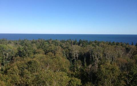 A view of Jewell Island from the top of a World War II tower